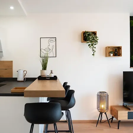 Mh Living - 22 - Scandinavian Living Dream In Center Graz